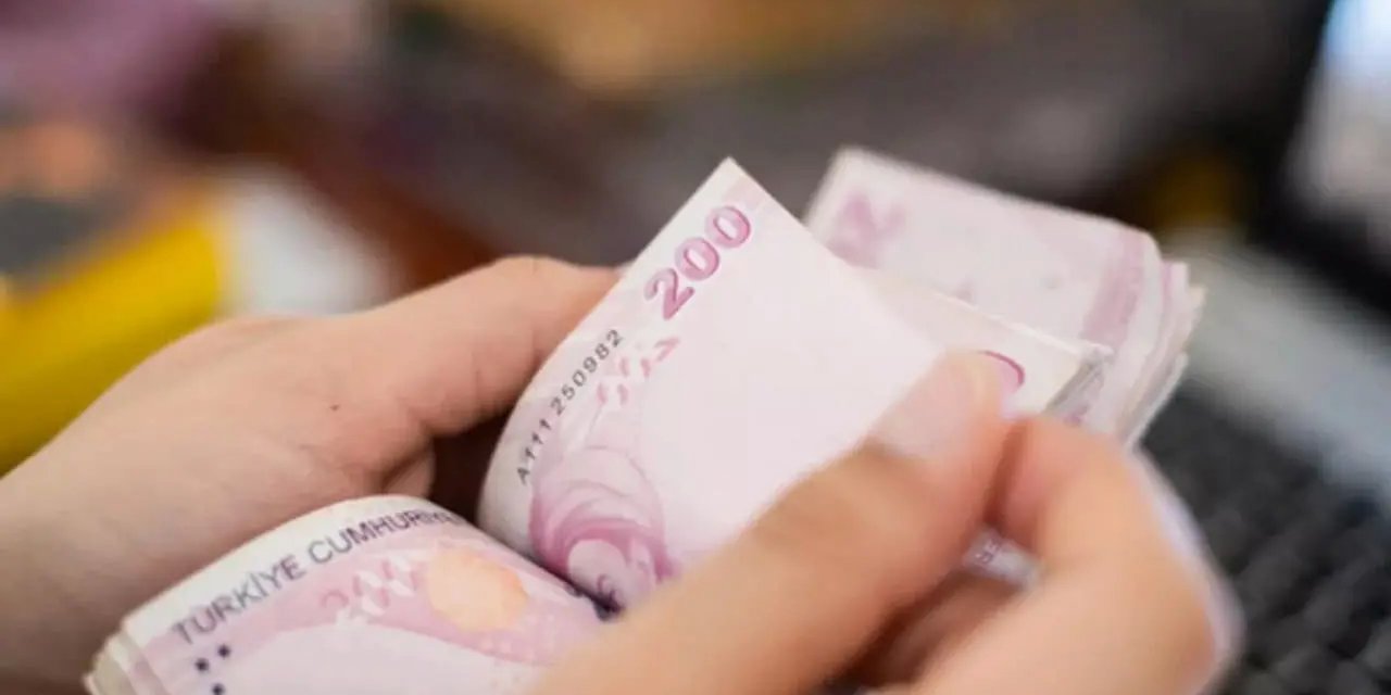 Türkiye'de Asgari Ücretin Ekonomik Seyir Defteri: 2002'den 2023'e Dramatik Değişimler