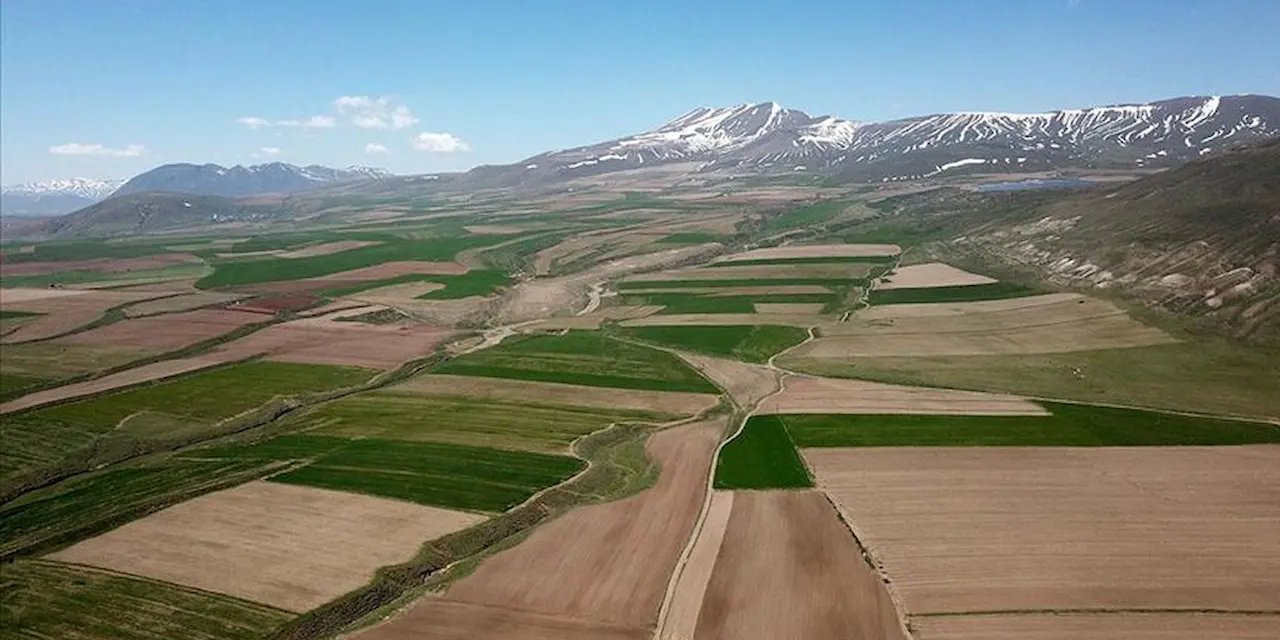 Türkiye'nin Tarım Paradoksu: Bereketli Topraklardan Dışa Bağımlılığa
