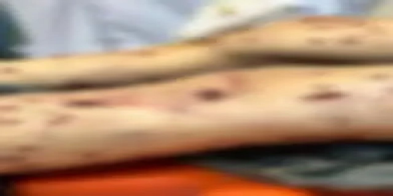 Küçük Kahramanın Anlatımıyla: Sevgi Dolu Köpeğin Şaşırtıcı Dönüşümü - Rize Güneysu'da Bir Çocuğun Gözünden Olayın Gerçek Yüzü