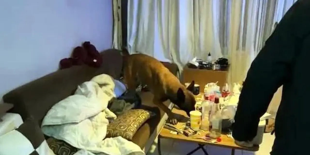 İzmir'de Emlak Dolandırıcılığı Operasyonu: Mali Suçlarla Mücadelede Büyük Başarı