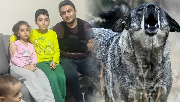 Ankara'da Bir Baba'nın Cesareti: Sokak Köpeklerinden Kızını Kurtarmak İçin Yaşanan Dram