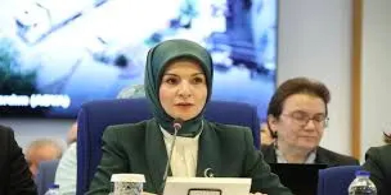 Aile ve Sosyal Hizmetlerin Güçlendirilmesi: Göktaş'ın Çözüm Odaklı Yaklaşımları