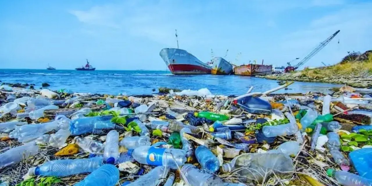 Doğu Karadeniz'de Çevre Kirliliği Alarm Veriyor