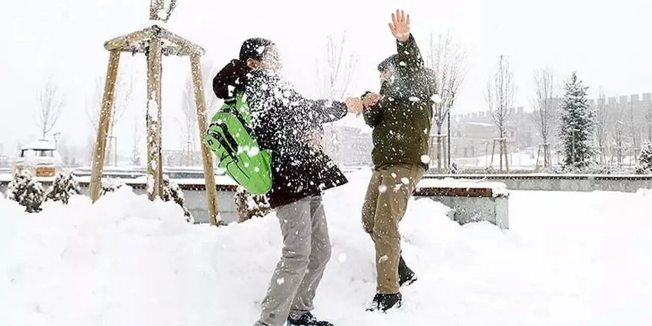 Giresun'da Kar Nedeniyle Eğitimde Ara! İlçeler ve Okulların Durumu