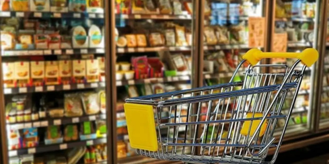 Aralık Ayında Ekonomik Güven Endeksi Yükselişe Geçti: Detaylı Analiz