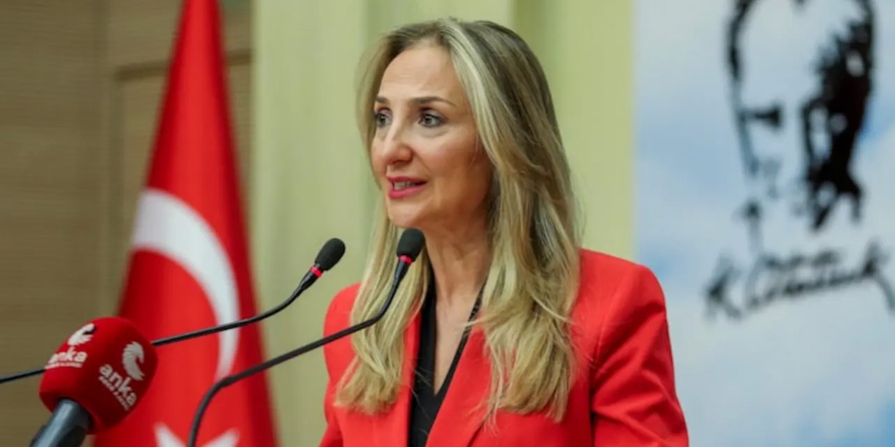CHP'li Aylin Nazlıaka'nın Basın Toplantısı ve Kadına Yönelik Şiddetle Mücadele
