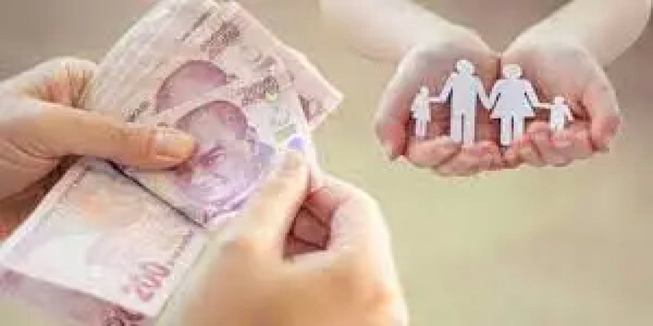 2024 Yılı Aile Destek Programı Ödemelerine Zam Geldi mi?