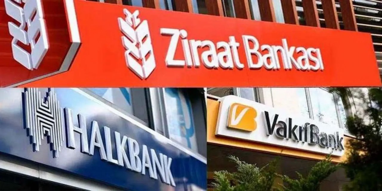 Türkiye'nin Kamu Bankalarındaki Batık Krediler  Derinleşen Bir Finansal Krizin Analizi