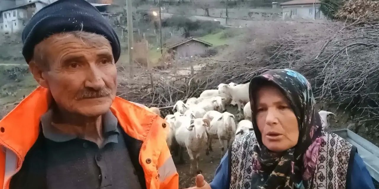 Balıkesir'de Hayvanlara İşkence Şoku  Güvenlik Kamerası Gerçeği Ortaya Çıkardı