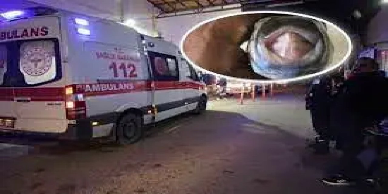 İskenderun'da Aile, Balon Balığı Yüzünden Zehirlendi: Acil Tedavi Altındalar