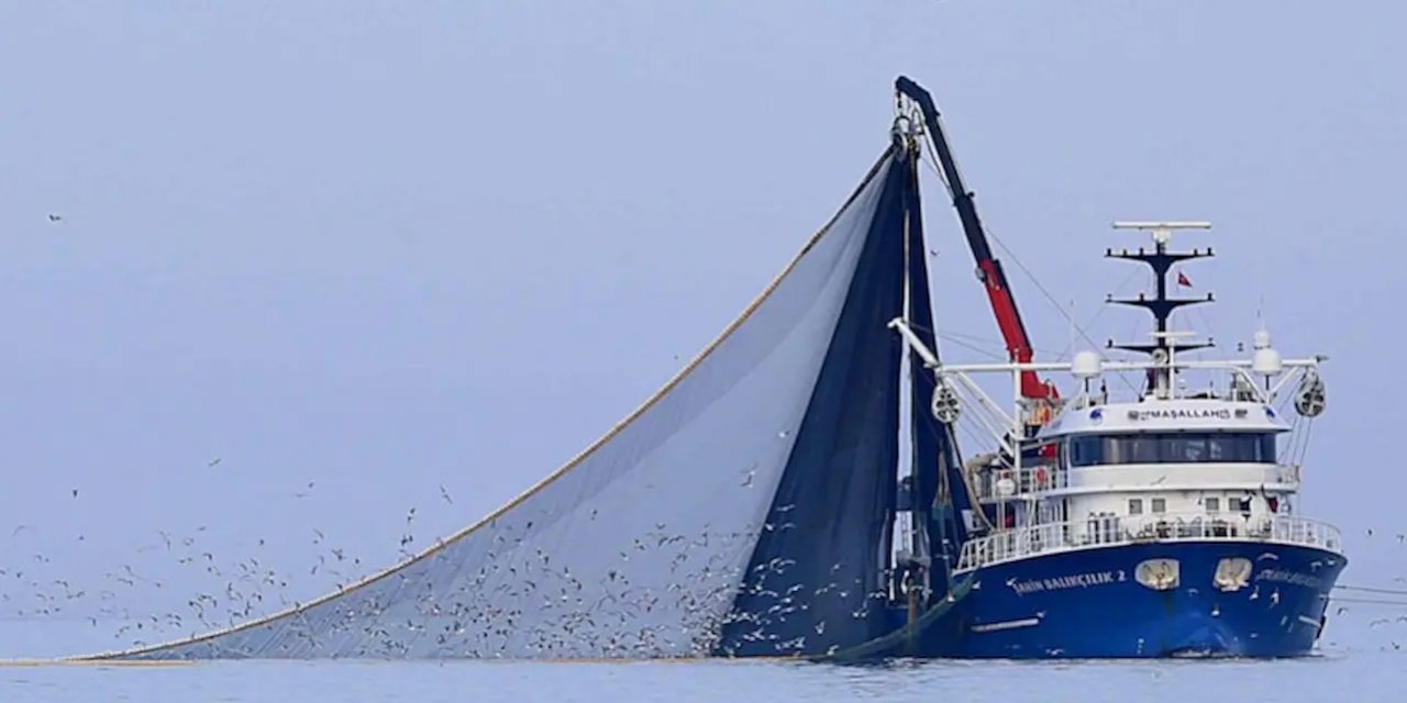 Yenilikçi Denizcilik: Balıkçı Gemileri İçin Yeni Kurallar