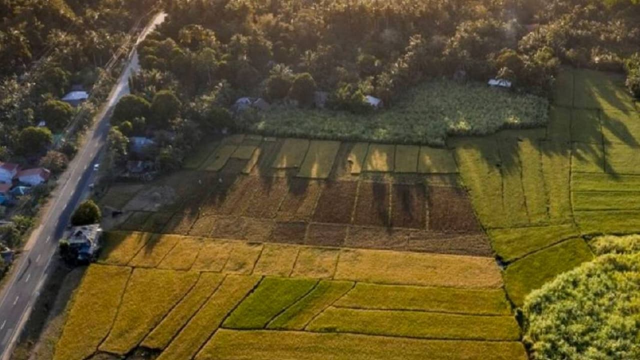 Uygun Fiyatlı Arsalarla Ev Sahibi Olma Şansı: Milli Emlak'ın Bingöl İhalesi Yaklaşıyor!