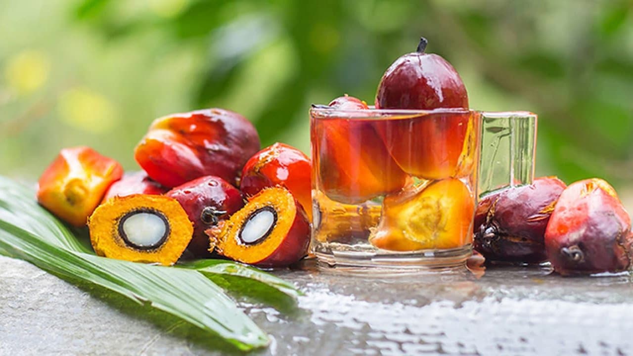 Palm Yağı Piyasası: Ringgitin Yükselişi ve Ham Petroldeki Değişimlerin Etkisi