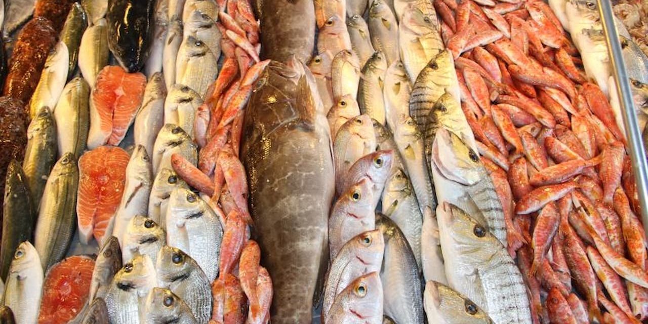 Türkiye'nin Ekonomik Zaferi: Amerika Pazarına 500 Milyon Dolarlık İhracat Hedefi!