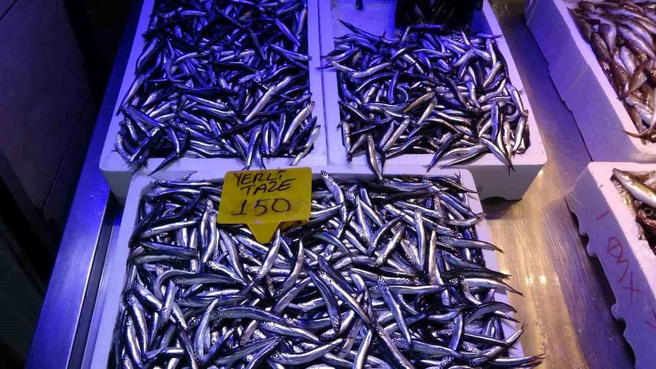 Karadeniz'in Hamsi Krizi: Fiyatlarda Rekor Artış!