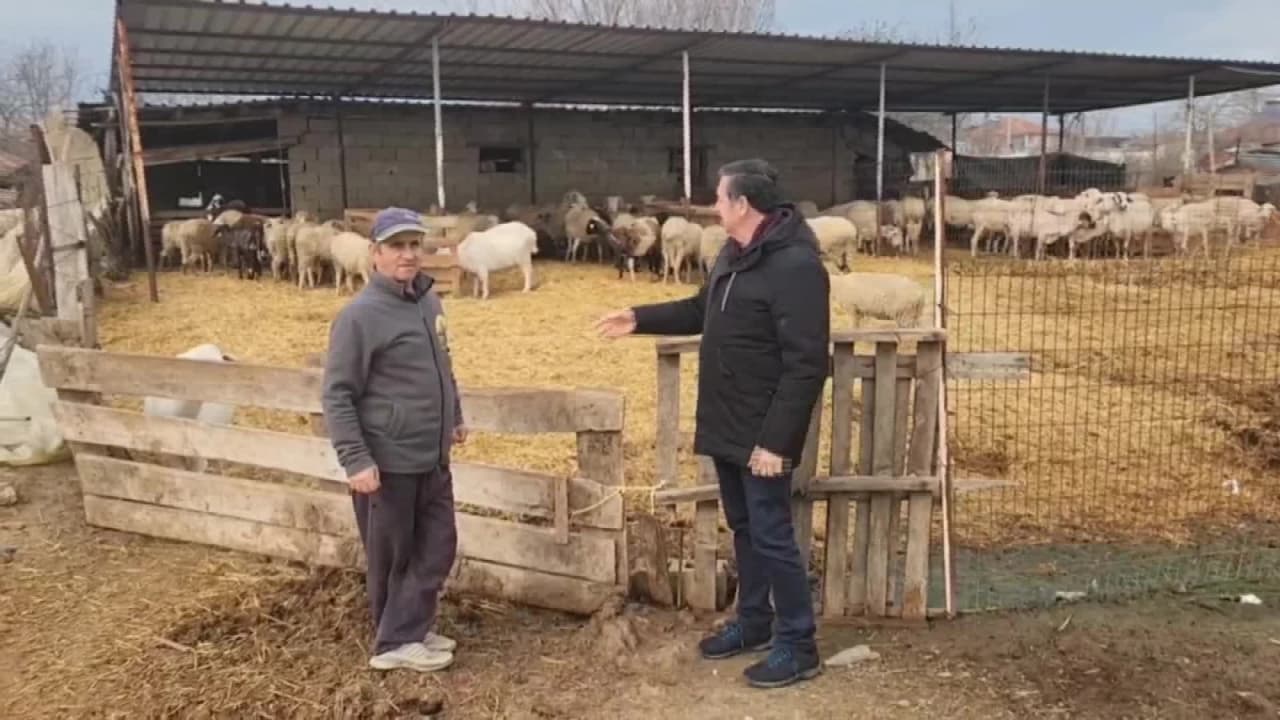 Küçükbaş Çobanları Feryat Ediyor: "Destek Yetersiz, Yem Fiyatları Fırsatçıların Cebini Dolduruyor!"