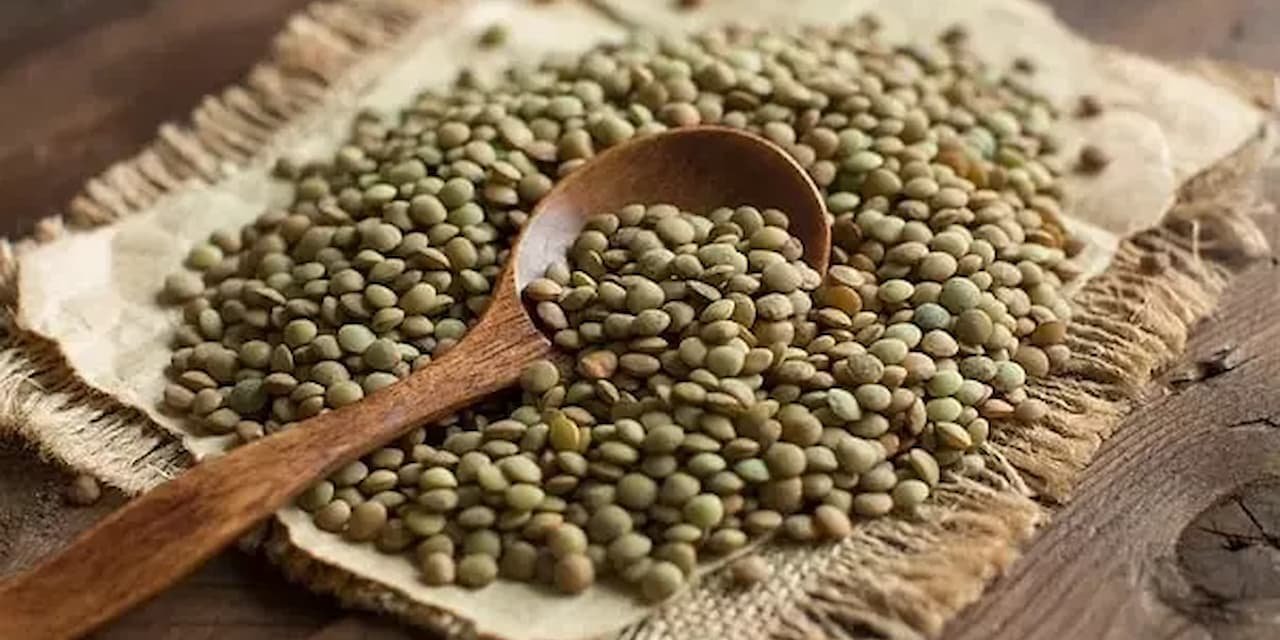 Yeşil Mercimek Krizi: İthalatla Geçici Çözüm, Üreticiyi Derinden Yaralıyor!