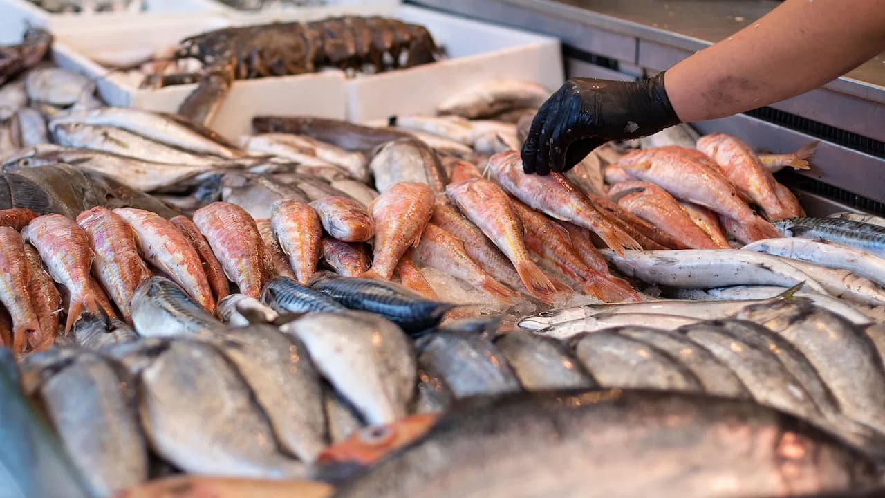 Tezgahlarda Balık Fiyatları ve Av Sezonunun Son Durumu