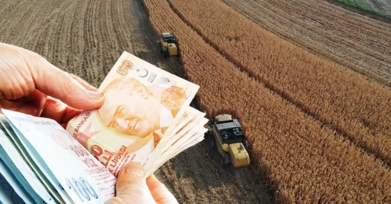 Yenilikçi Adımlarla Tarımsal Refahı Artıran Hükümet Politikaları: Küçük Ölçekli Çiftçilere Can Suyu