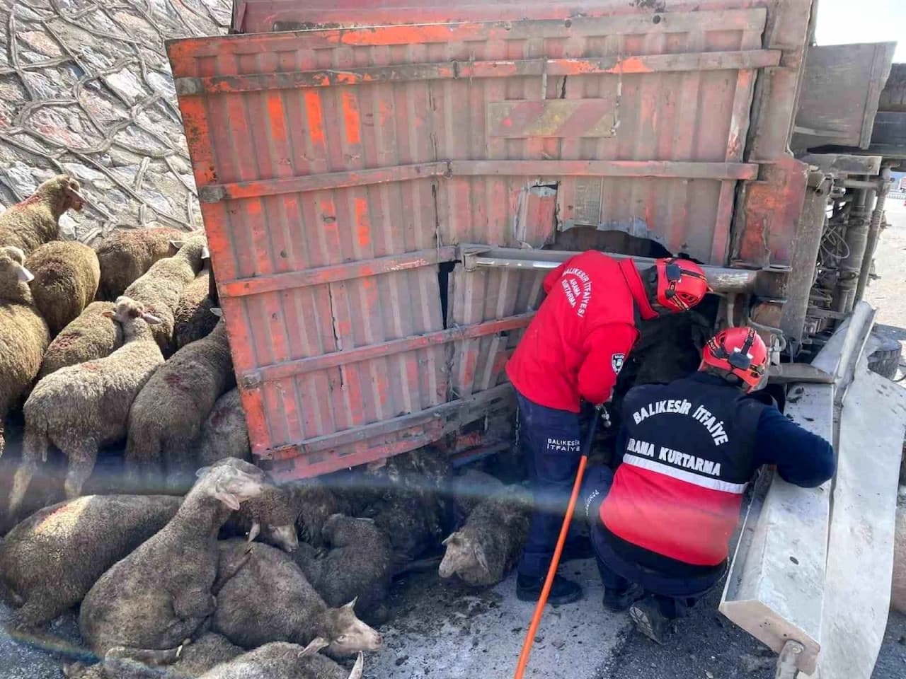 Balıkesir'de İzmir-İstanbul Otoyolunda Feci Kaza: 1 Ölü, 2 Yaralı ve 20 Koyun Telef