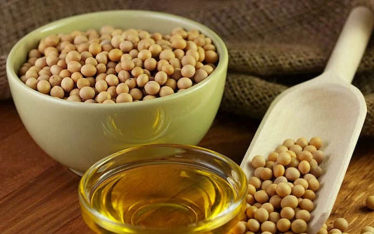 ABD'den Türk Gıda Üreticilerine Müjdeli Haber! Soya Yağı İhracatı Kapısı Aralandı