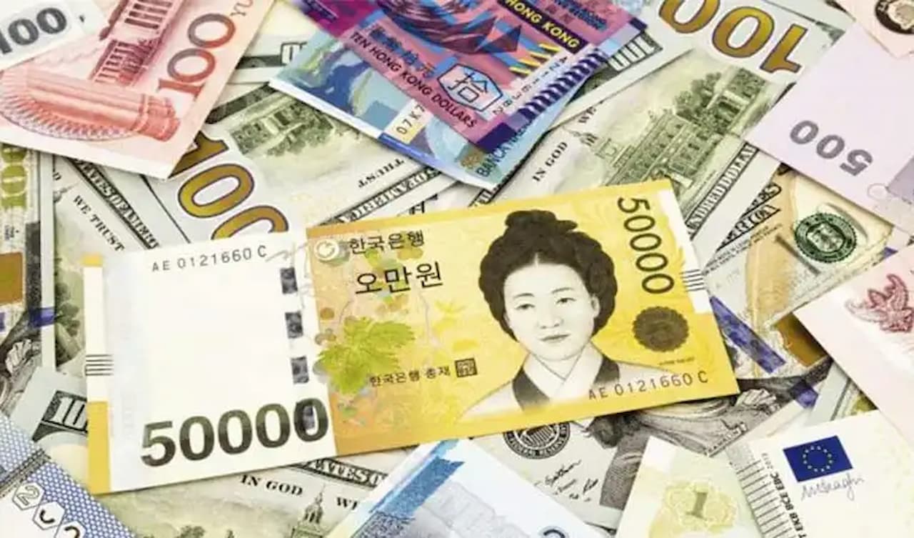 Güney Kore Wonu Döviz Piyasasında Tacı Giydi! Türk Lirası Düşüşe Geçti