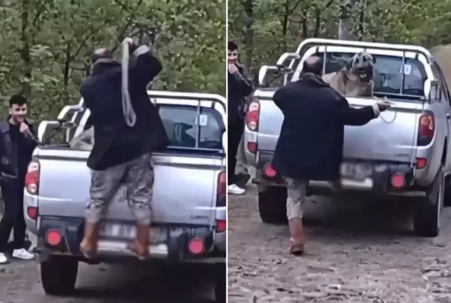 Trabzon’da Vicdanları Sızlatan Anlar: Köpeğe Halatla Şiddet Kamerada!