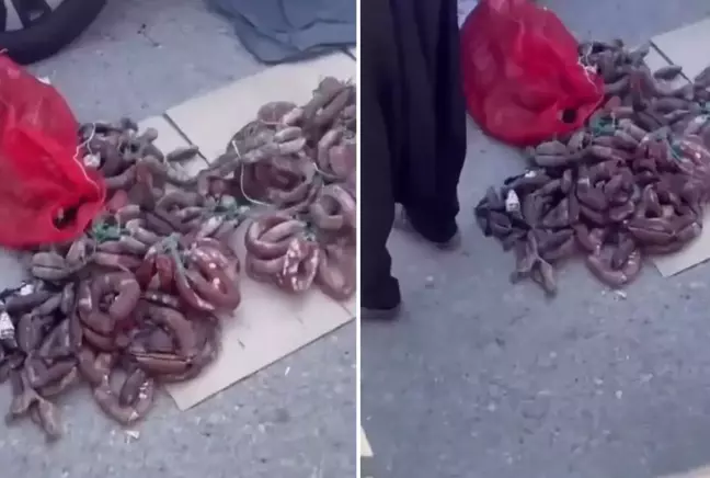 Burası Bombay Değil, Kayseri!" Bit Pazarındaki Sucuk Manzarası Görenleri Şaşkına Çevirdi!