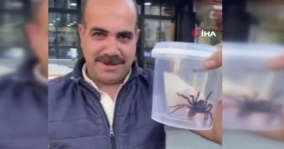 Elazığ’da Doğadan Fırlayıp Gelen Örümcek Panik Yarattı