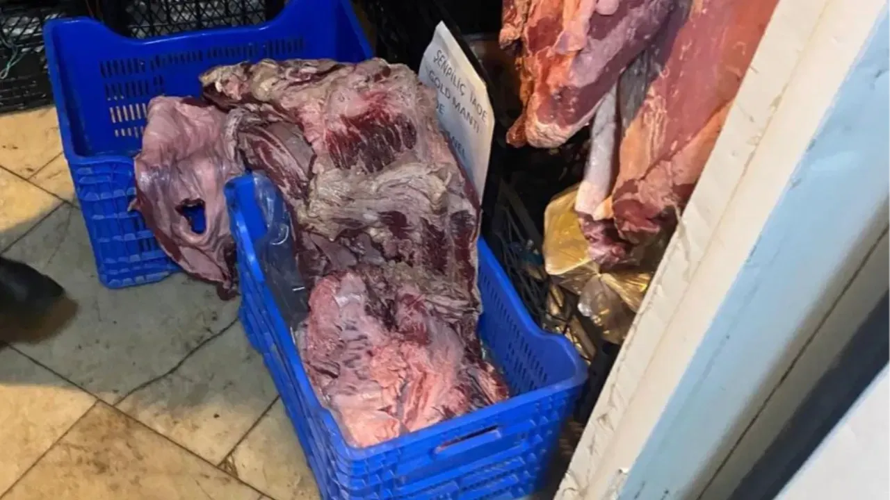 Tekirdağ'da iğrenç bozuk et skandalı! Ürkütücü mesajlara gözaltı