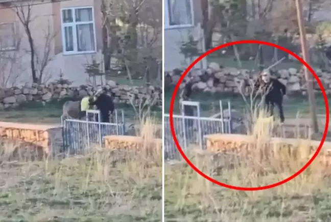YAŞLI CANİDEN AKIL ALMAZ VAHŞET! 80 YAŞINDAKİ ADAM MASUM EŞEĞE İŞKENCE ETTİ!