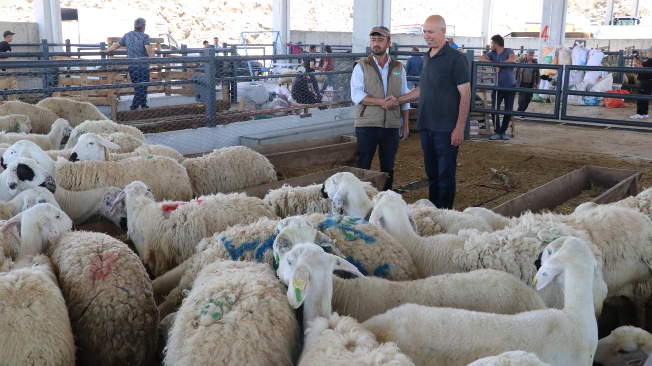 İslam'da Kurban Kesme İbadeti Var Mıydı?