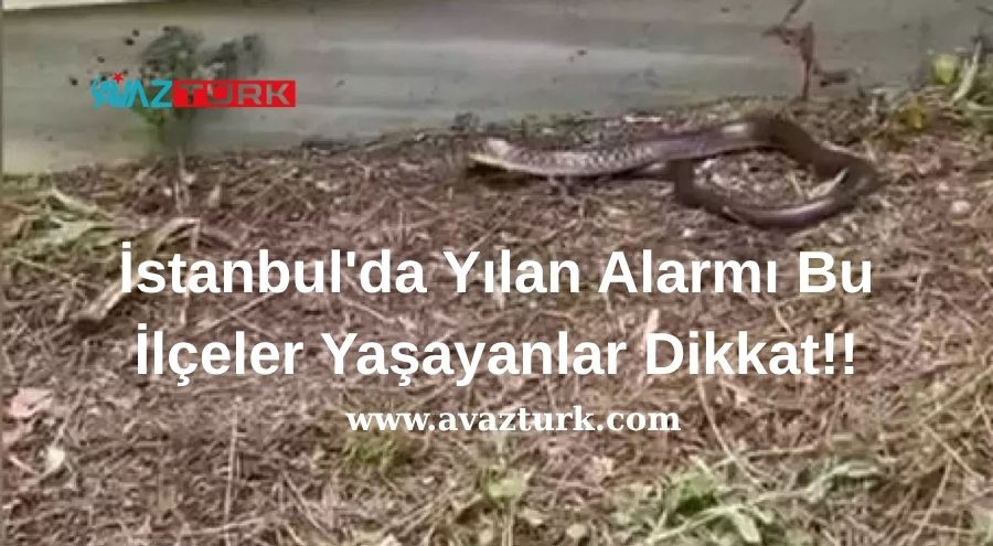 Uzmanlar Acil Koduyla Uyardı, Peki Ya Zehirli Sır Ortaya Çıkarsa!