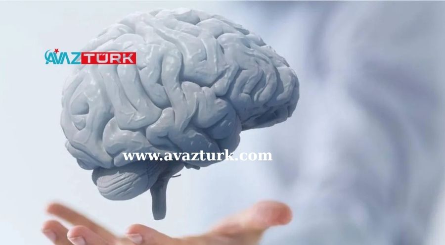 Beyninizin Gizli Potansiyelini Ortaya Çıkarın