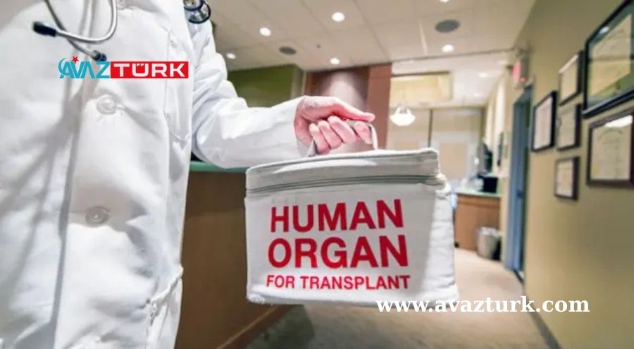 Yoksulluk Uçurumu Organ Pazarına Dönüştü: İnsanlar Yaşamlarından Vazgeçiyor!