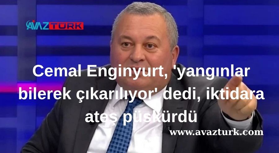 Türkiye Yangınlarının Ardındaki Akıl Almaz İddia: Ormanlarımız Kasıtlı Yakılıyor Mu?
