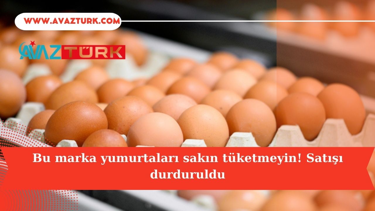 Ölümcül Salmonella Salgını Türkiye'ye Sıçrar mı?