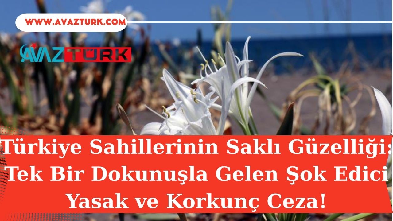 Türkiye Sahillerinin Saklı Güzelliği: Tek Bir Dokunuşla Gelen Şok Edici Yasak ve Korkunç Ceza!