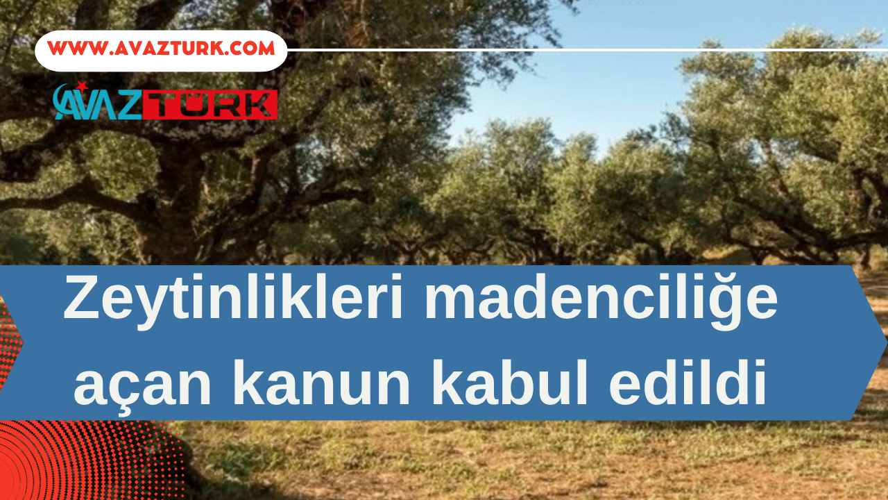 Zeytinliklerin Geleceği TBMM'de Kilitlendi