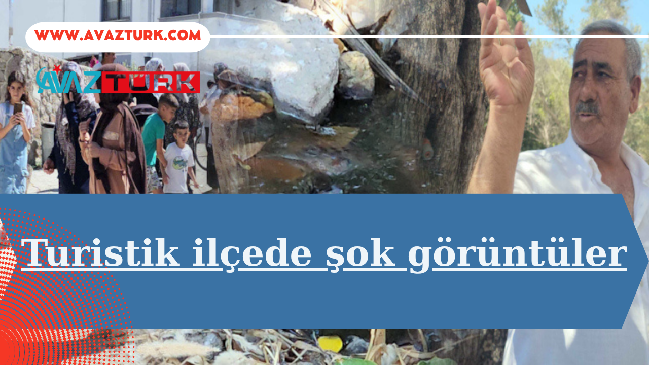 Türkiye'nin Gözde Tatil Cenneti Bodrum'da Şok Eden Sağlık Alarmı!