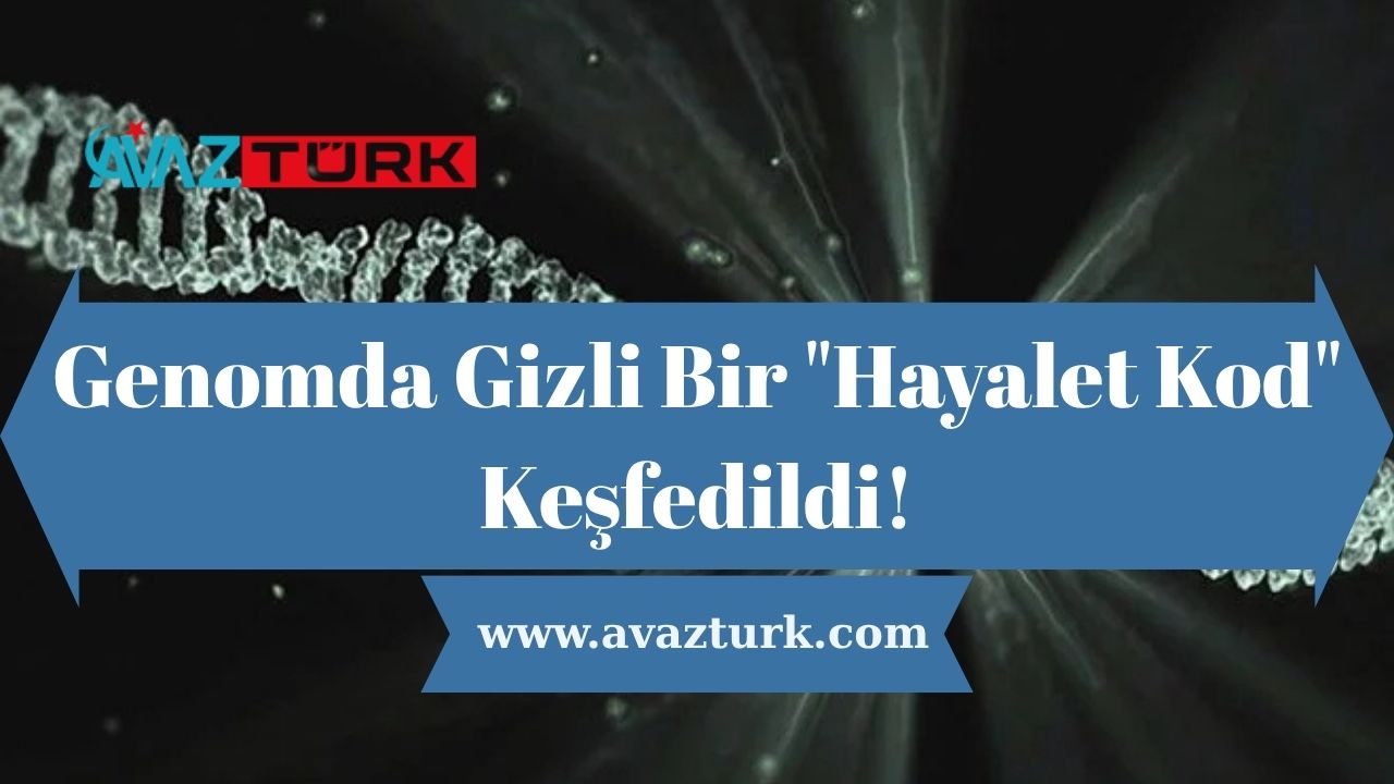 Genomda Gizli Bir "Hayalet Kod" Keşfedildi!
