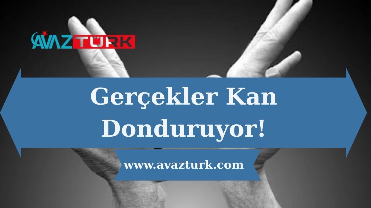 Türkiye'nin Kalbindeki Bilinmeyen Yara: Gerçekler Kan Donduruyor!