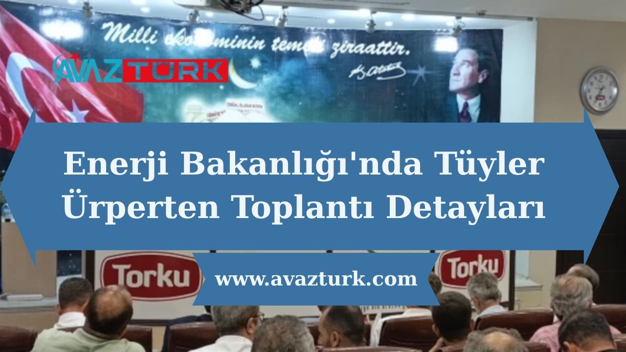 Enerji Bakanlığı'nda Tüyler Ürperten Toplantı Detayları