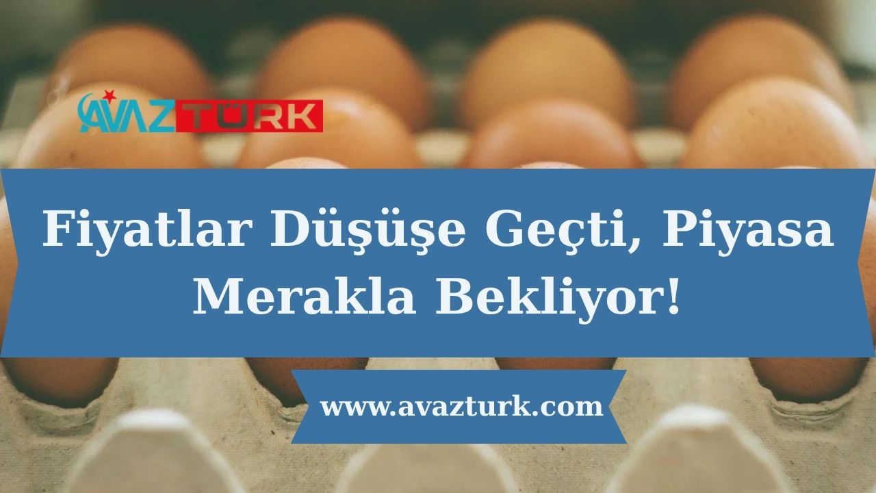 Fiyatlar Düşüşe Geçti, Piyasa Merakla Bekliyor!