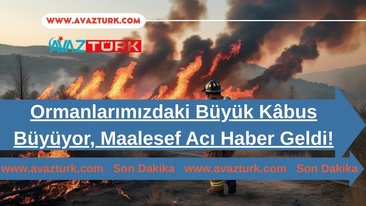 Ormanlarımızdaki Büyük Kâbus Büyüyor, Maalesef Acı Haber Geldi!