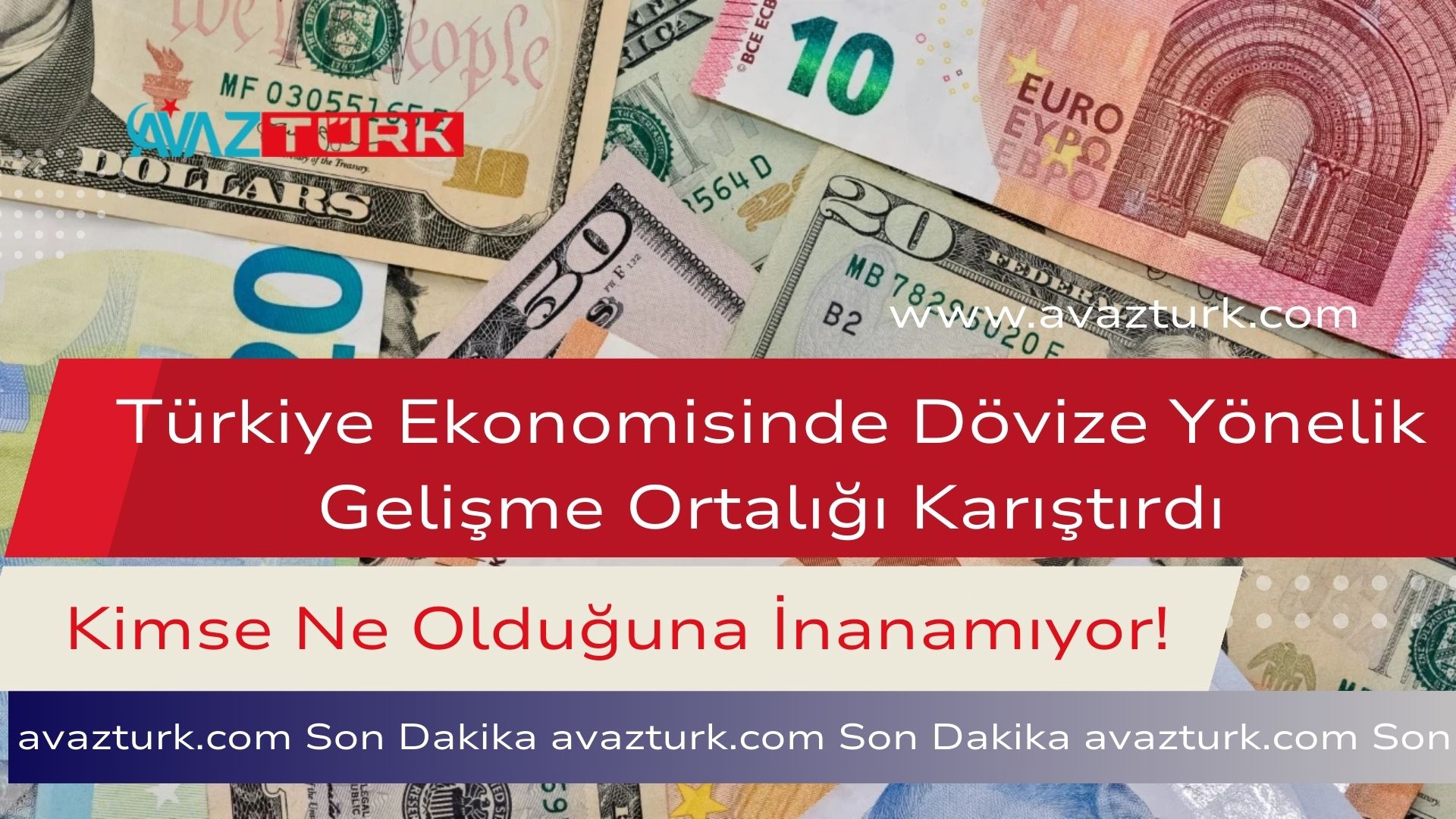 Türkiye Ekonomisinde Dövize Yönelik Gelişme Ortalığı Karıştırdı