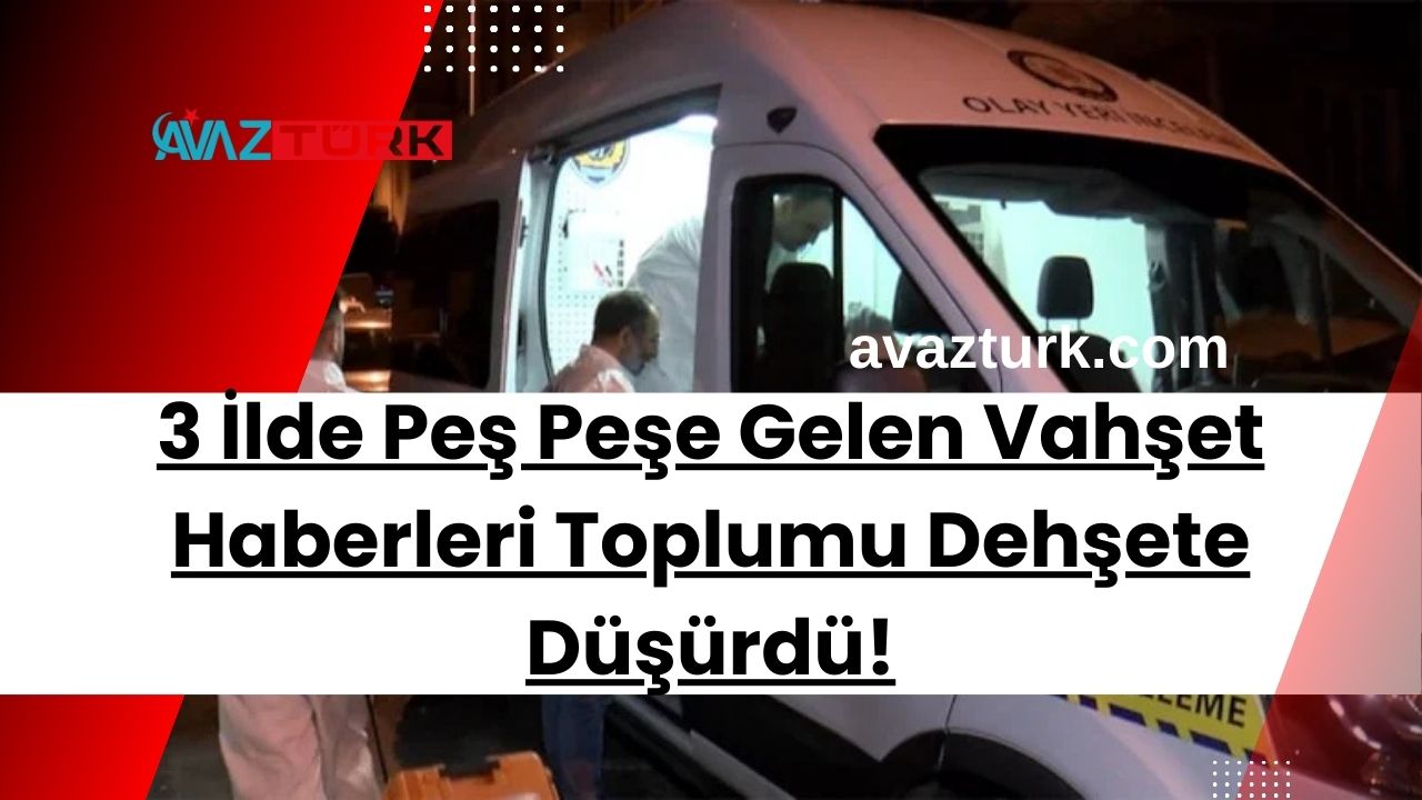 3 İlde Peş Peşe Gelen Vahşet Haberleri Toplumu Dehşete Düşürdü!