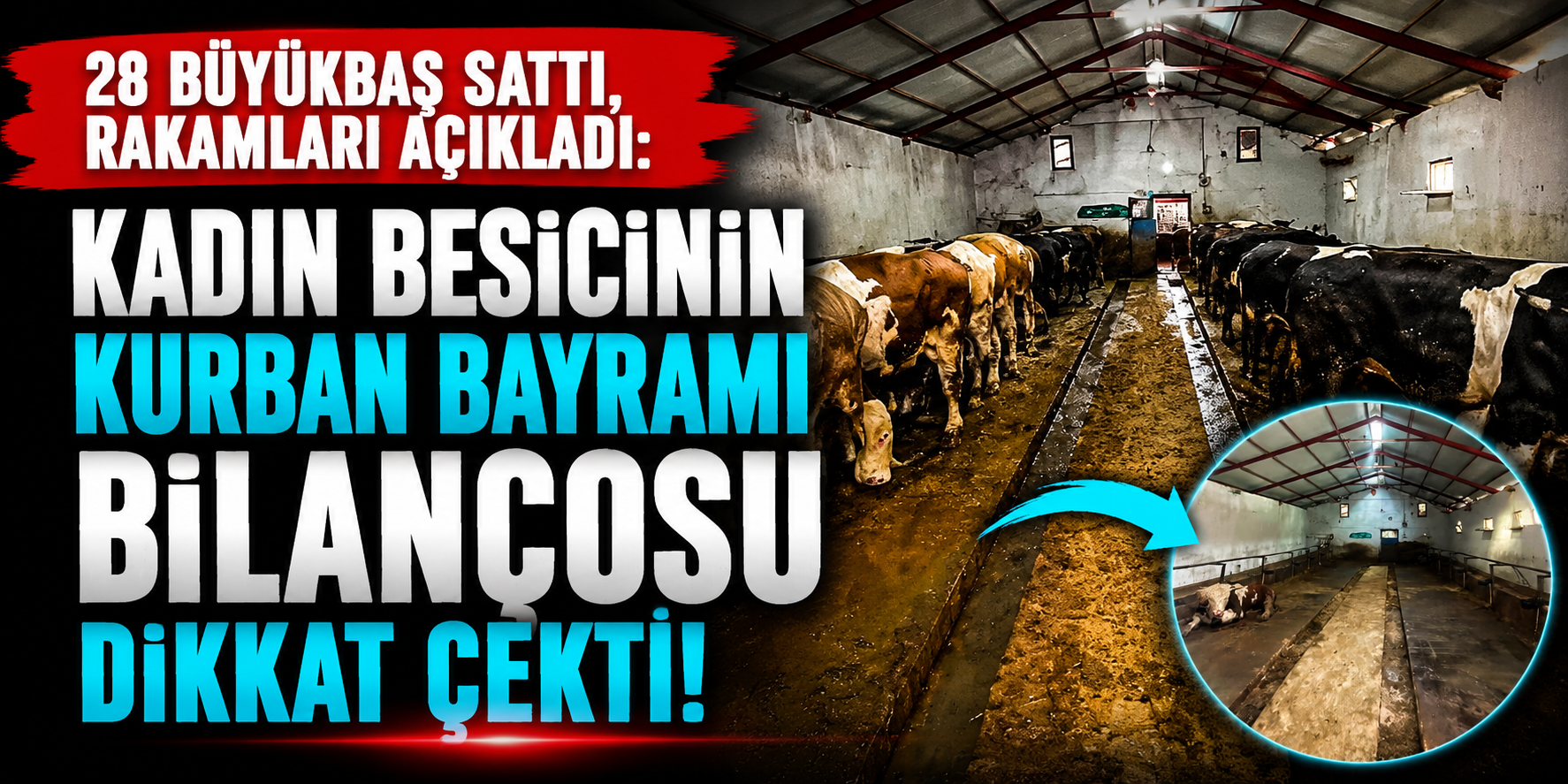 28 Büyükbaş Sattı, Rakamları Açıkladı: Kadın Besicinin Kurban Bayramı Bilançosu Dikkat Çekti