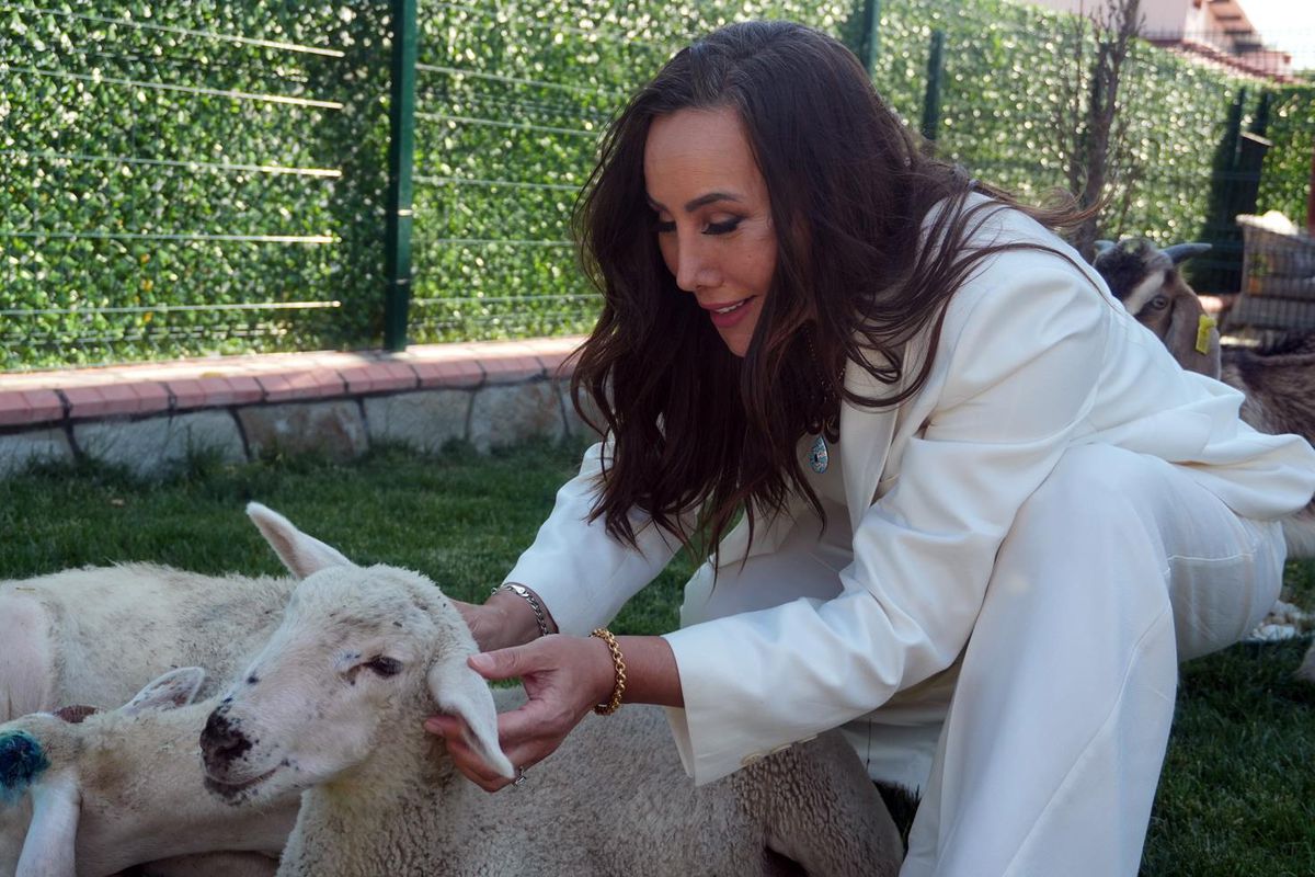 “Ağabeyim” Diyordu, Aşk Çıktı! Asena’nın Yeni İlişkisi Magazin Dünyasını Hareketlendirdi