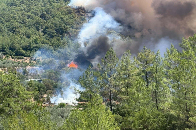 Muğla, Antalya, Aydın Ve Afyonkarahisar Alev Alev: Yerleşim Yerleri Tehlikede, Evler Tahliye Edildi!